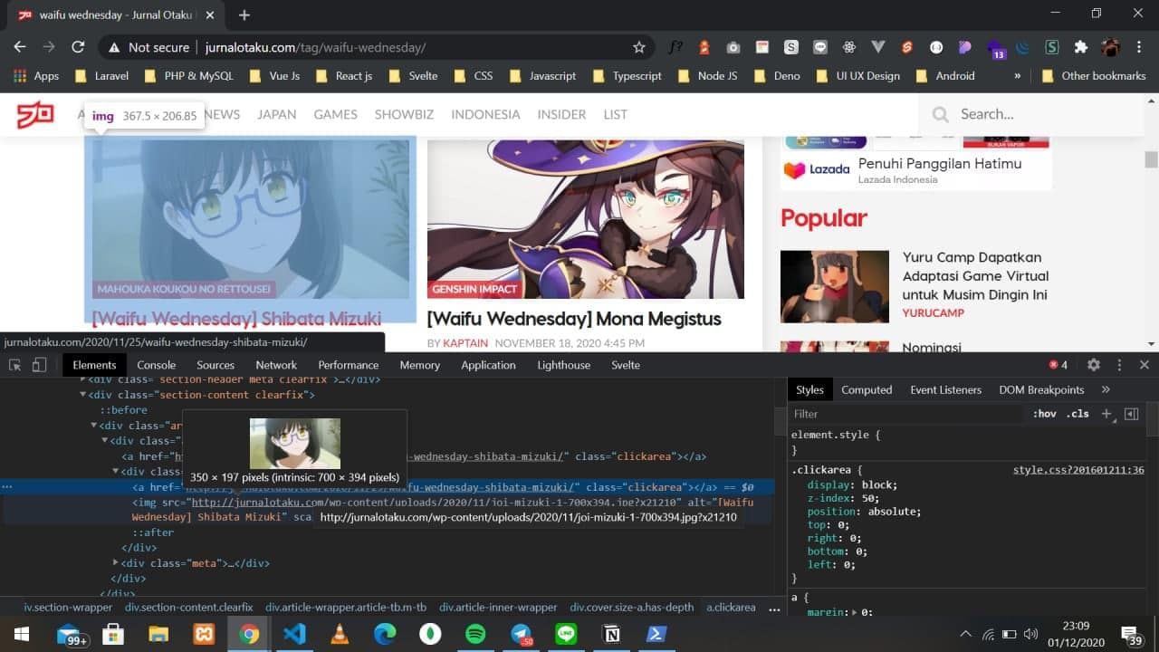 SS DOM HTML inspect element